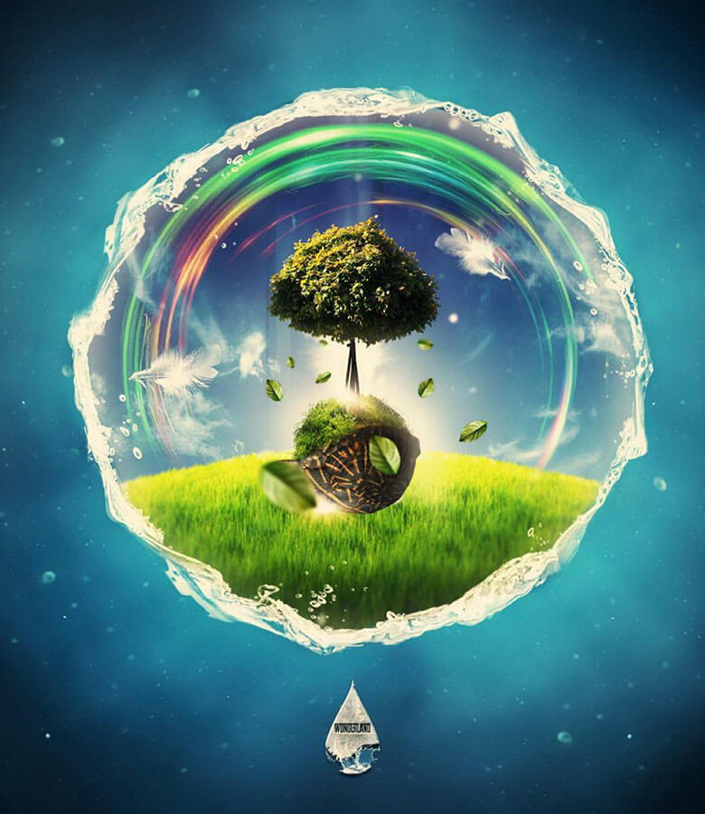 tree grass bubble water elementoagua